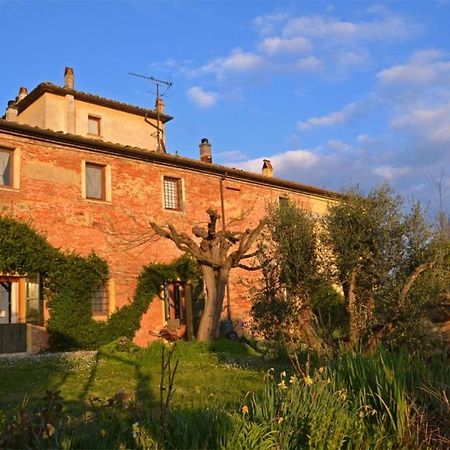 Agriturismo La Ca'Solare Palaia Ngoại thất bức ảnh